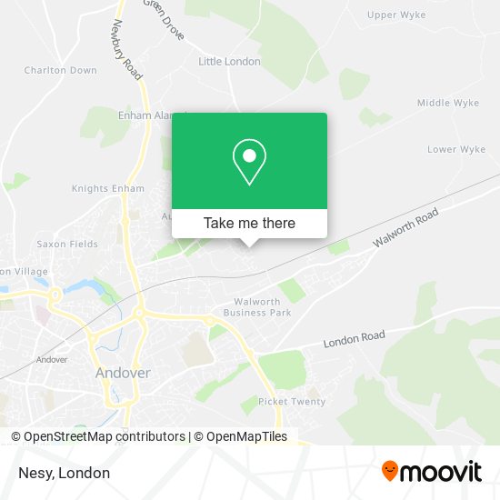 Nesy map