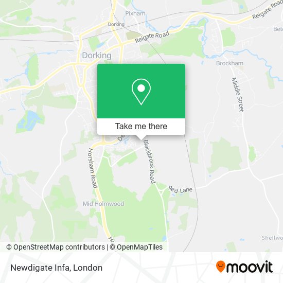 Newdigate Infa map