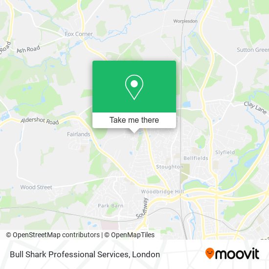 Bull Shark Professional Services map