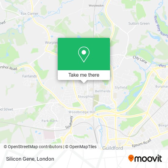 Silicon Gene map