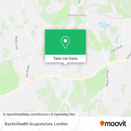 Backtohealth Acupuncture map