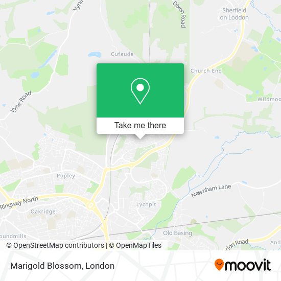 Marigold Blossom map