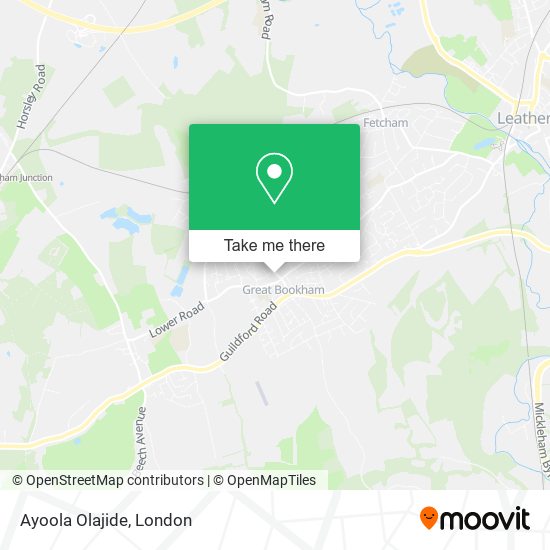 Ayoola Olajide map