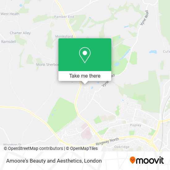 Amoore's Beauty and Aesthetics map