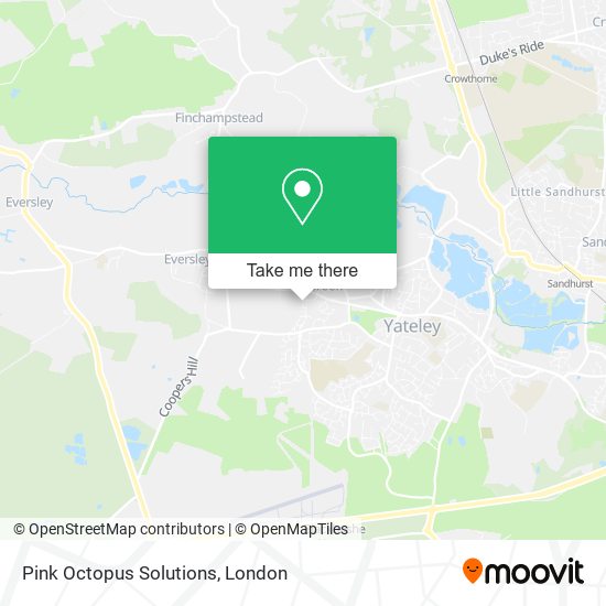 Pink Octopus Solutions map