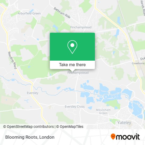 Blooming Roots map