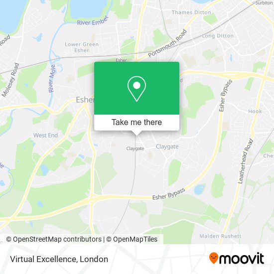 Virtual Excellence map