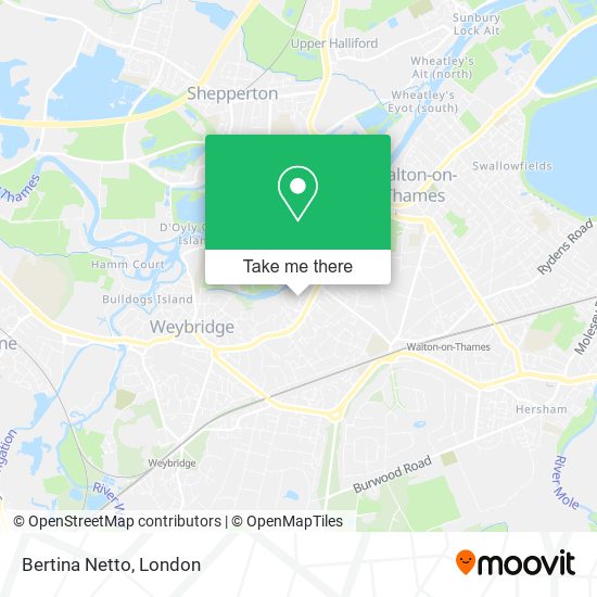 Bertina Netto map