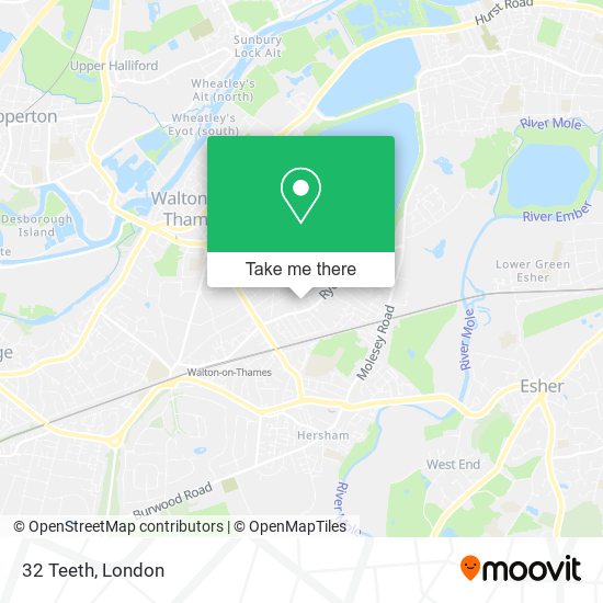 32 Teeth map