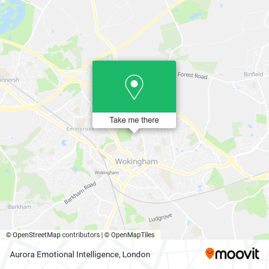 Aurora Emotional Intelligence map