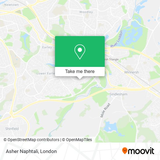 Asher Naphtali map