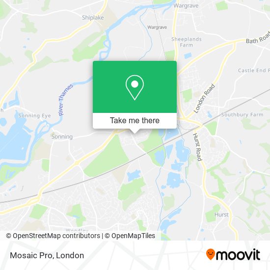 Mosaic Pro map