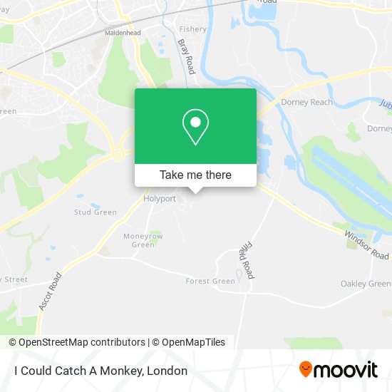 I Could Catch A Monkey map