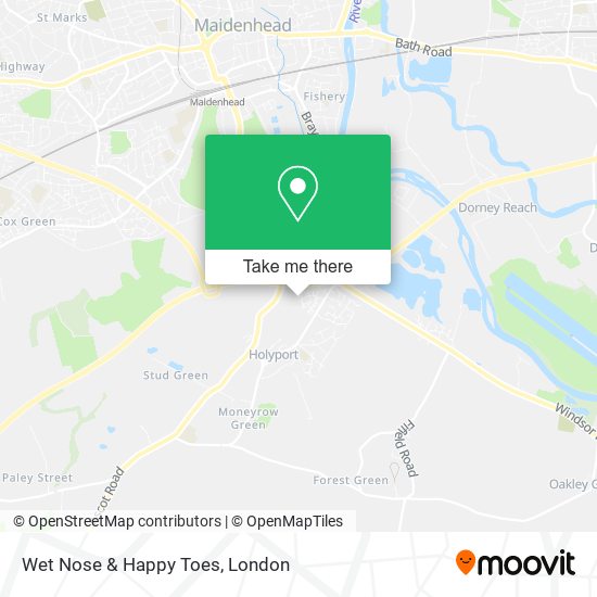 Wet Nose & Happy Toes map