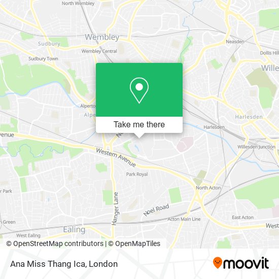 Ana Miss Thang Ica map