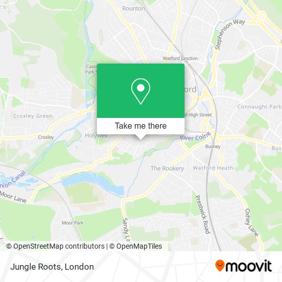 Jungle Roots map