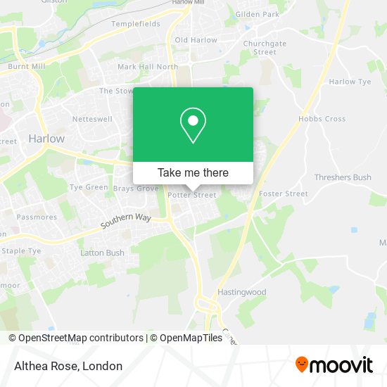 Althea Rose map