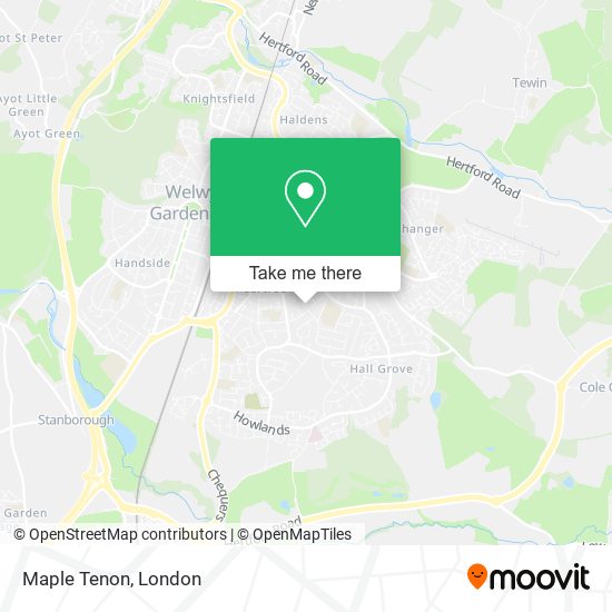Maple Tenon map