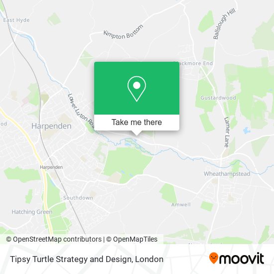 Tipsy Turtle Strategy and Design map