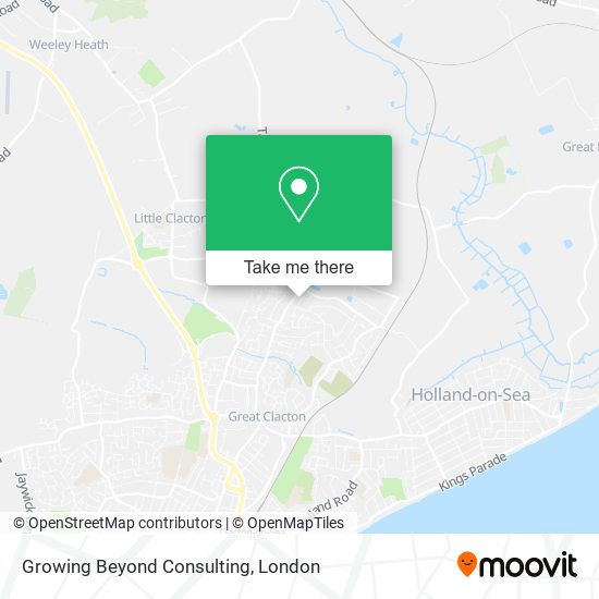 Growing Beyond Consulting map