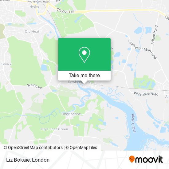Liz Bokaie map