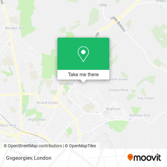 Gvgeorgiev map