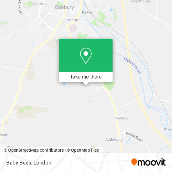 Baby Bees map