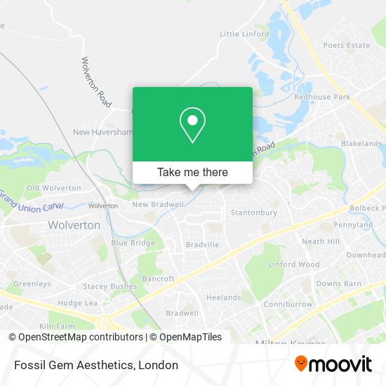 Fossil Gem Aesthetics map