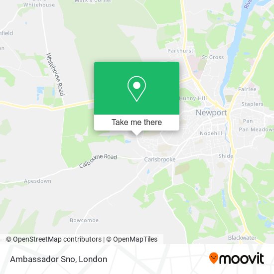 Ambassador Sno map