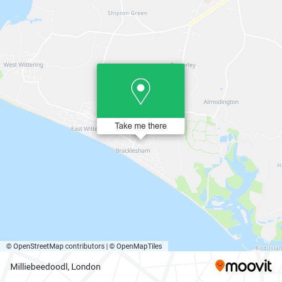 Milliebeedoodl map