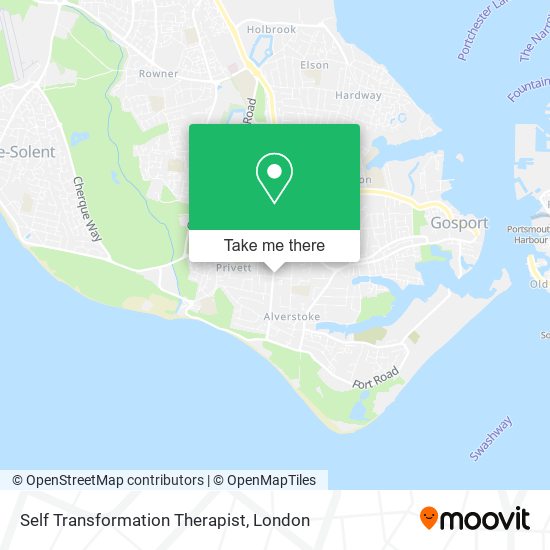 Self Transformation Therapist map