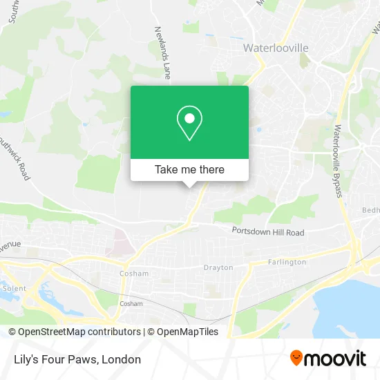 Lily's Four Paws map