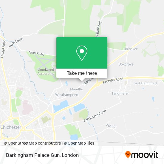 Barkingham Palace Gun map