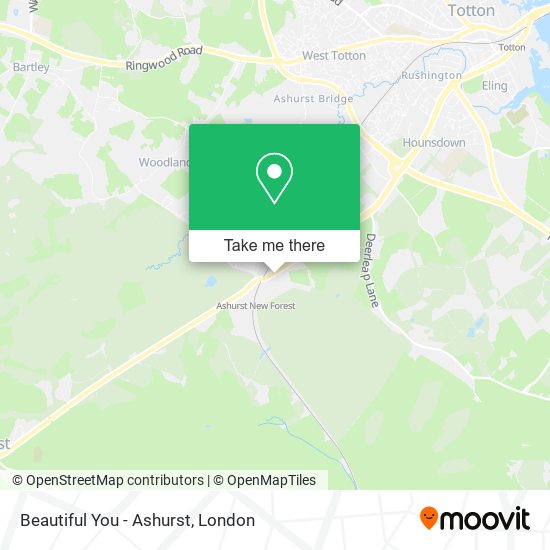 Beautiful You - Ashurst map