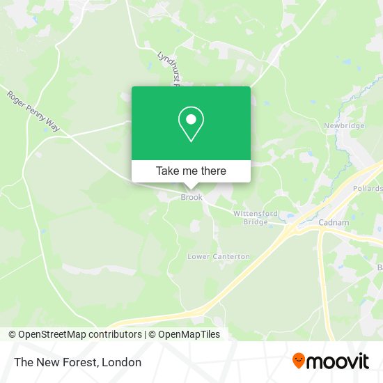 The New Forest map