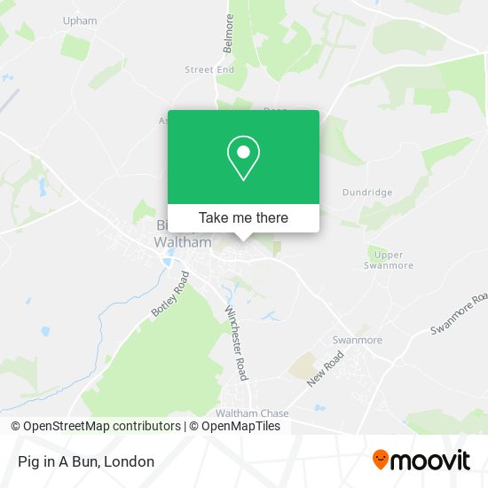 Pig in A Bun map