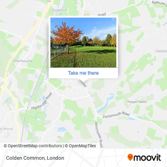 Colden Common map
