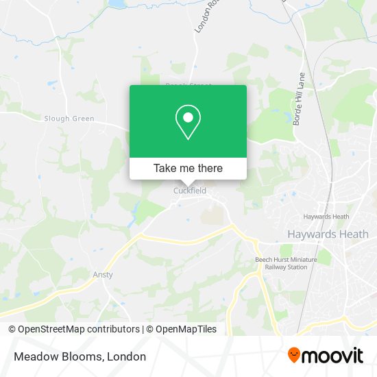 Meadow Blooms map