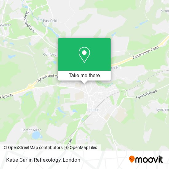 Katie Carlin Reflexology map