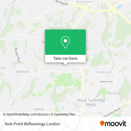 Sole Point Reflexology map