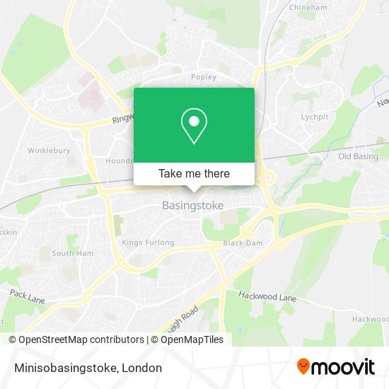 Minisobasingstoke map