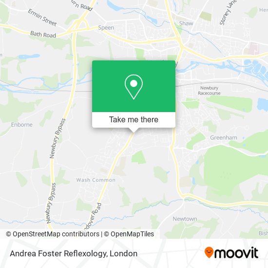 Andrea Foster Reflexology map