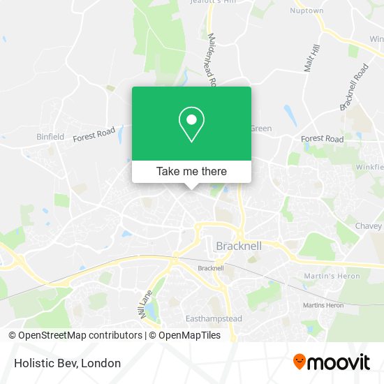 Holistic Bev map
