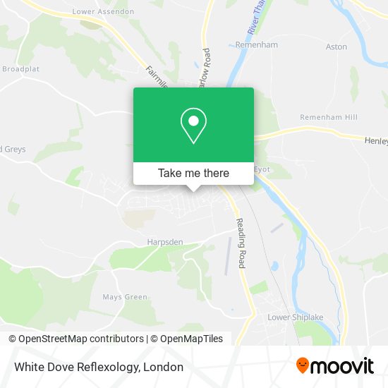 White Dove Reflexology map