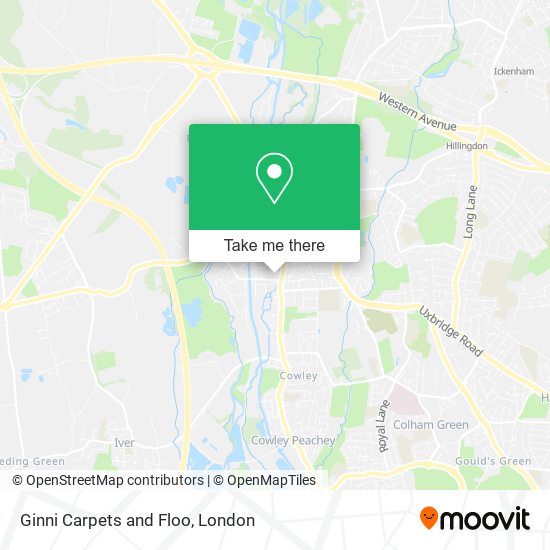 Ginni Carpets and Floo map