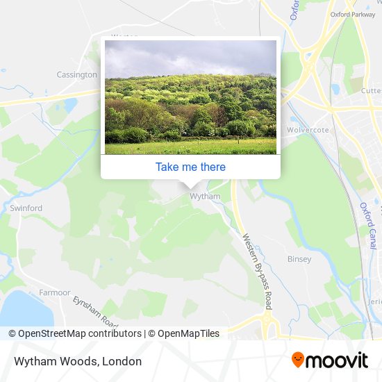 Wytham Woods map