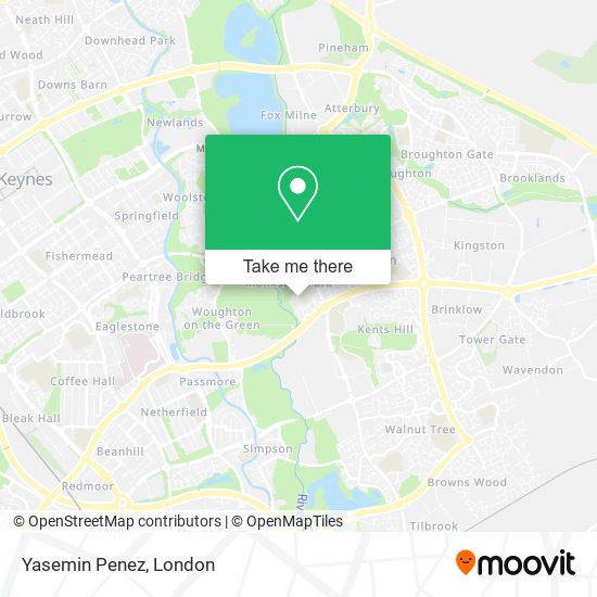 Yasemin Penez map
