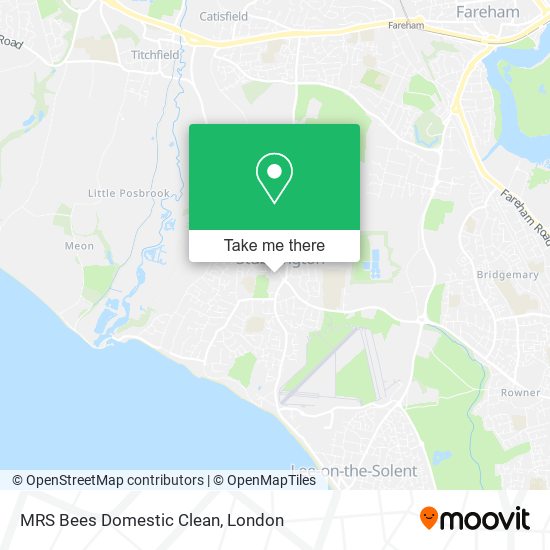 MRS Bees Domestic Clean map