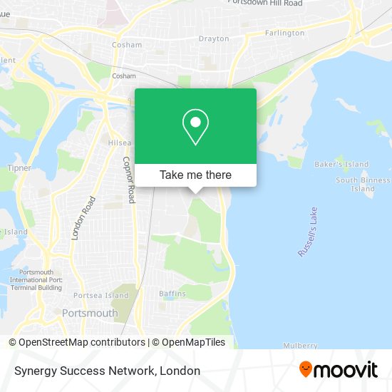 Synergy Success Network map