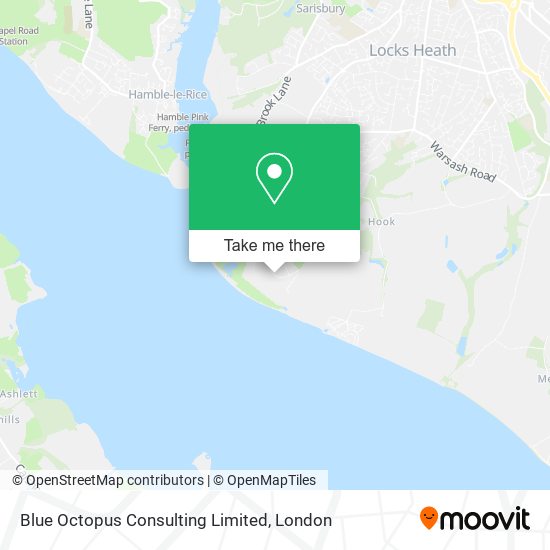 Blue Octopus Consulting Limited map